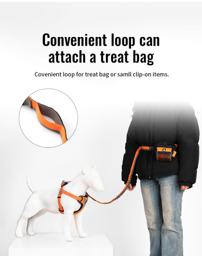 Truelove Nylon Bungee Dog Leash (TLL2271)