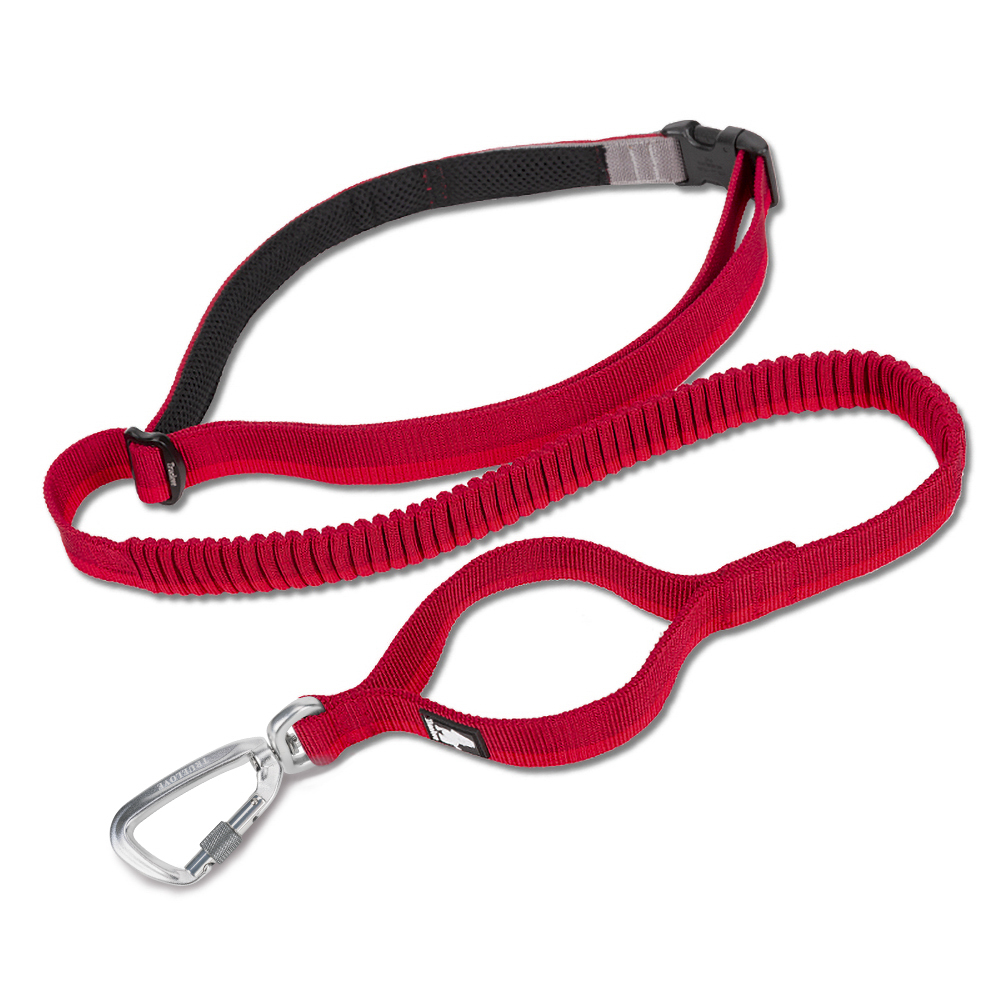 Truelove Nylon Bungee Dog Leash (TLL2271)