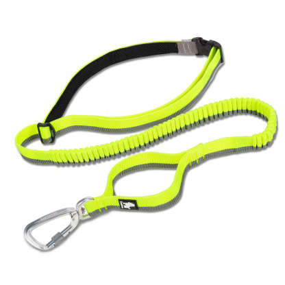 Truelove Nylon Bungee Dog Leash (TLL2271)