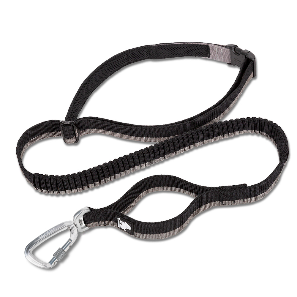Truelove Nylon Bungee Dog Leash (TLL2271)
