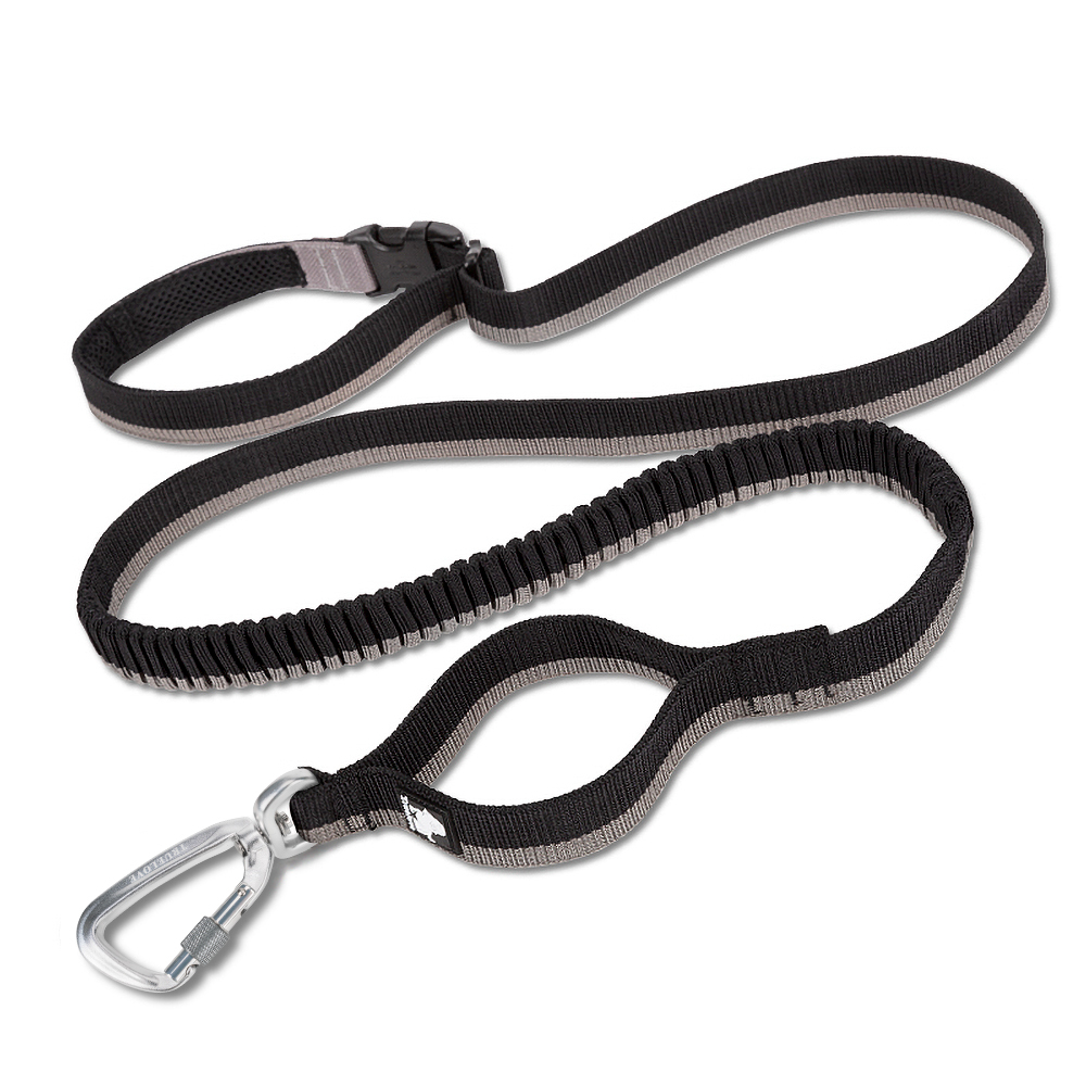 Truelove Nylon Bungee Dog Leash (TLL2271)