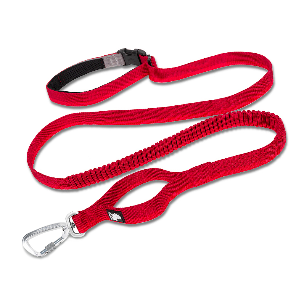 Truelove Nylon Bungee Dog Leash (TLL2271)