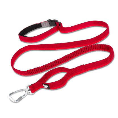 Truelove Nylon Bungee Dog Leash (TLL2271)