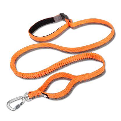 Truelove Nylon Bungee Dog Leash (TLL2271)