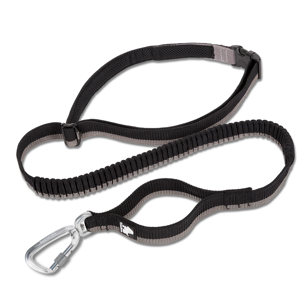 Truelove Nylon Bungee Dog Leash (TLL2271)