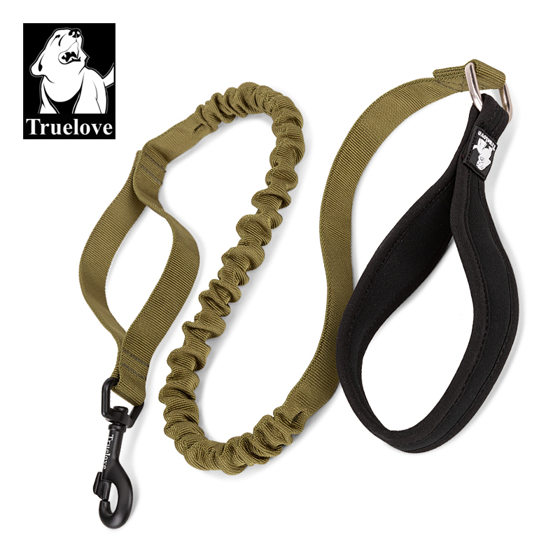 Truelove Durable Bungee Dog Leash (TLL2281)