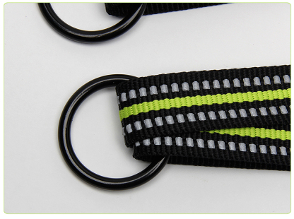 Truelove Nylon 2 in 1 Dog Leash (TLL2371)