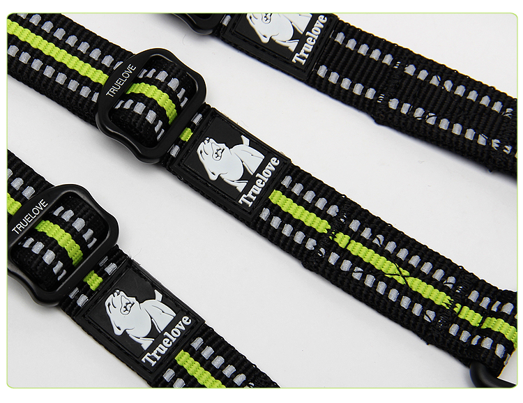 Truelove Nylon 2 in 1 Dog Leash (TLL2371)