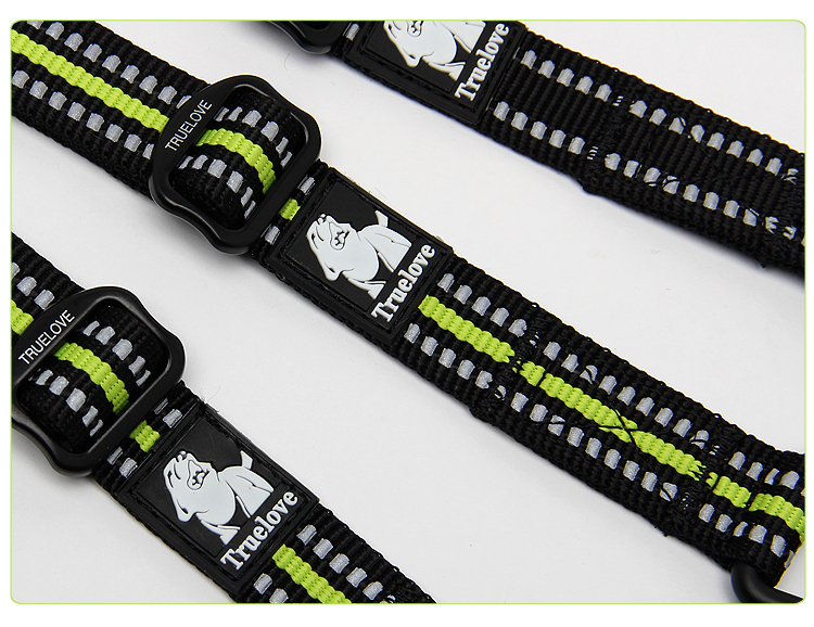 Truelove Nylon 2 in 1 Dog Leash (TLL2371)