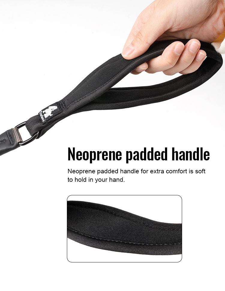 Truelove Nylon Rope Dog Leash with 3M Reflective (TLL2571)