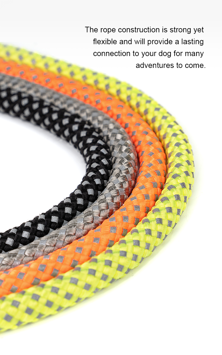 Truelove Nylon Rope Dog Leash with 3M Reflective (TLL2571)