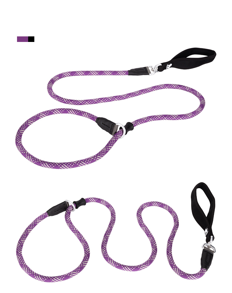 Truelove Durable Dog P-Leash (TLL2575)