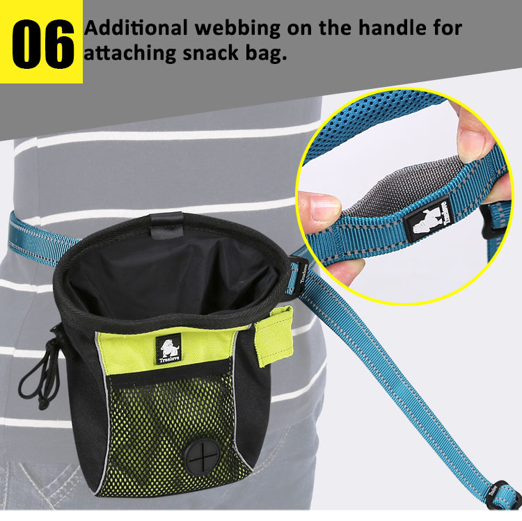 Truelove Adjustable Multi-Function Dog Leash (TLL2671)