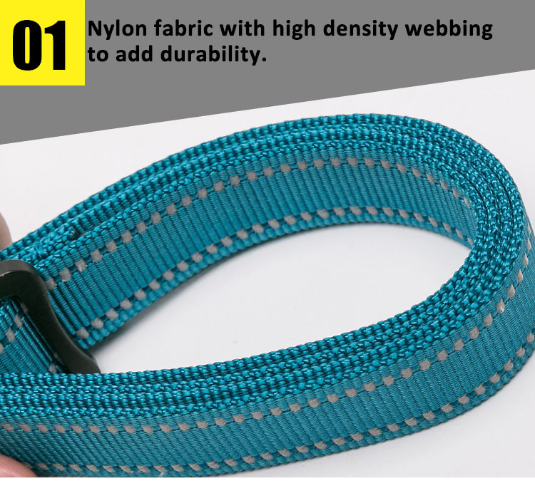 Truelove Adjustable Multi-Function Dog Leash (TLL2671)