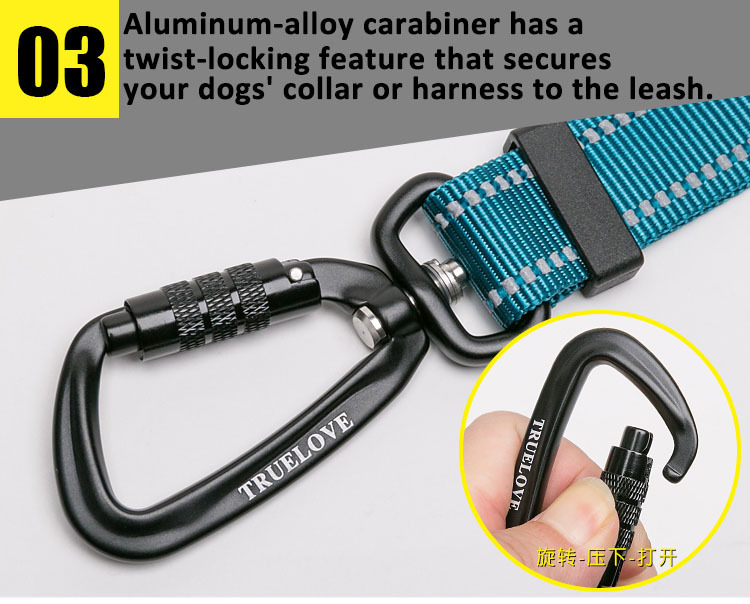 Truelove Adjustable Multi-Function Dog Leash (TLL2671)