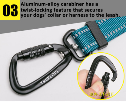 Truelove Adjustable Multi-Function Dog Leash (TLL2671)