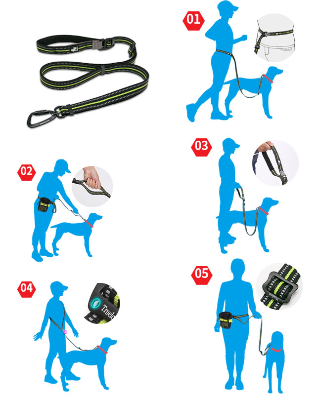 Truelove Adjustable Multi-Function Dog Leash (TLL2671)