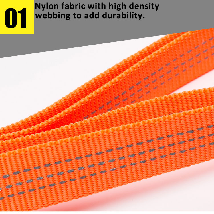 Truelove Dog Leash Nylon Webbing with 3M Reflective Material (TLL2771)