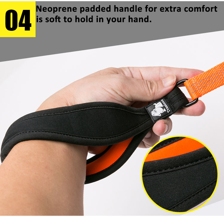 Truelove Dog Leash Nylon Webbing with 3M Reflective Material (TLL2771)