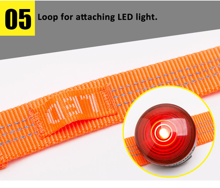 Truelove Dog Leash Nylon Webbing with 3M Reflective Material (TLL2771)