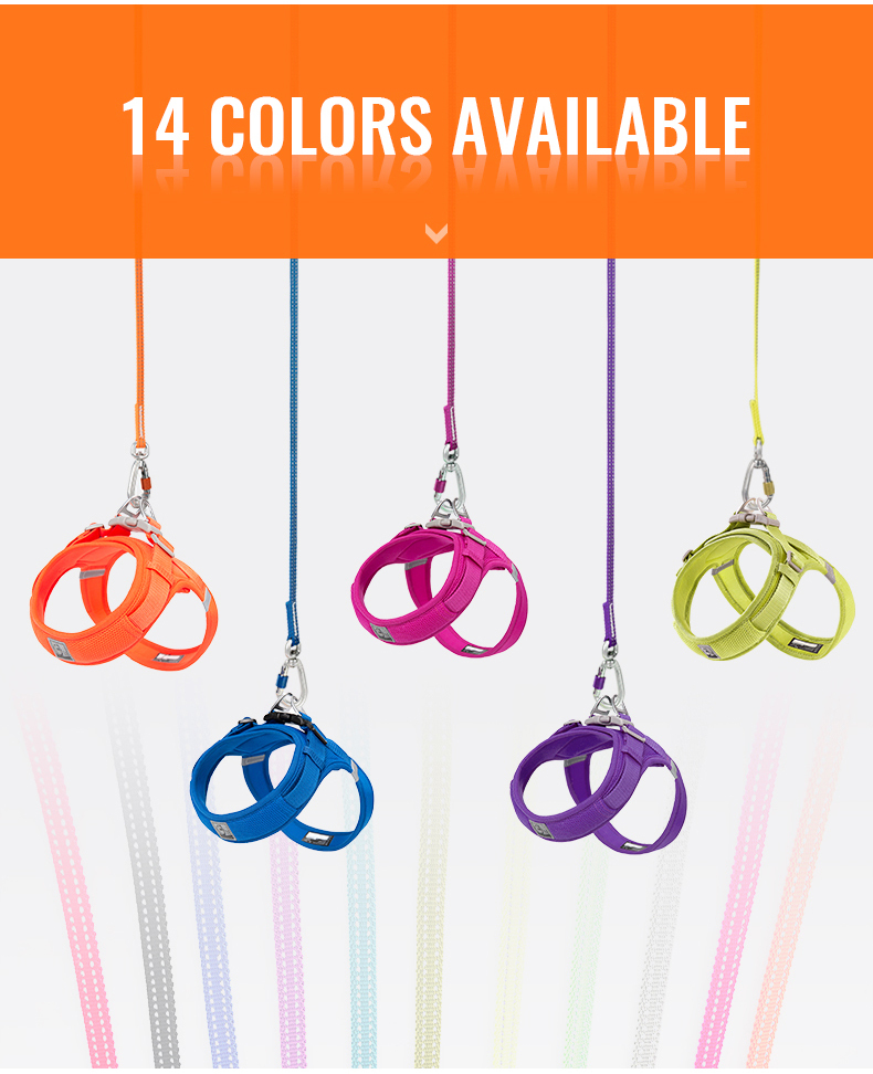 Truelove’s Reflective Lightweight Leash: Nighttime Safety, Daytime Convenience (TLL2772)