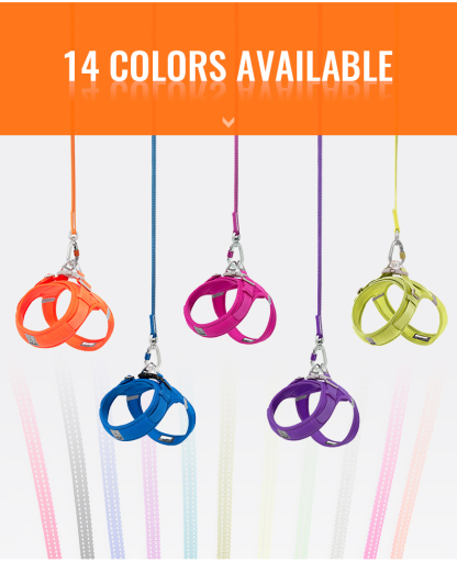 Truelove’s Reflective Lightweight Leash: Nighttime Safety, Daytime Convenience (TLL2772)