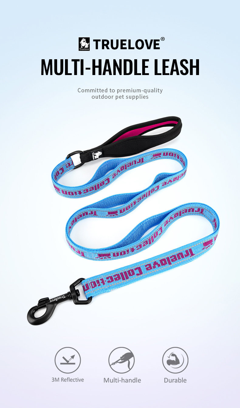 Truelove Neoprene Padded Handle Dog Leash for Comfortable Walks (TLL3071)