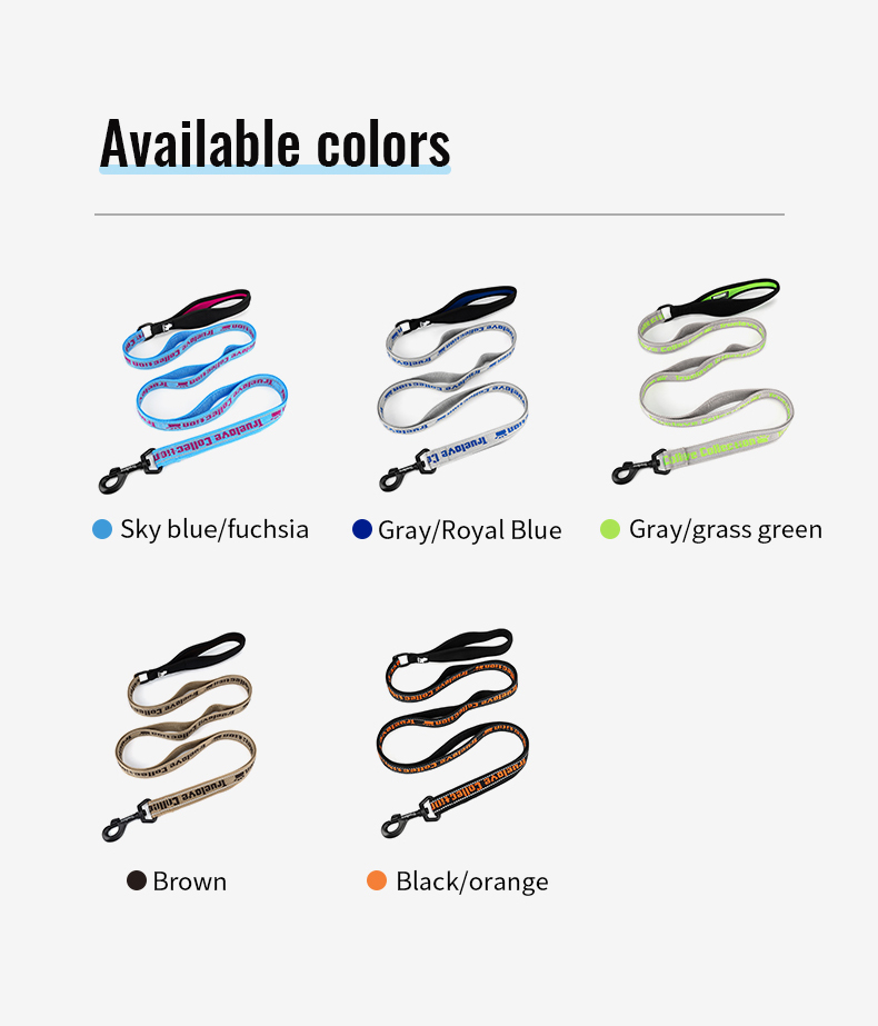 Truelove Neoprene Padded Handle Dog Leash for Comfortable Walks (TLL3071)