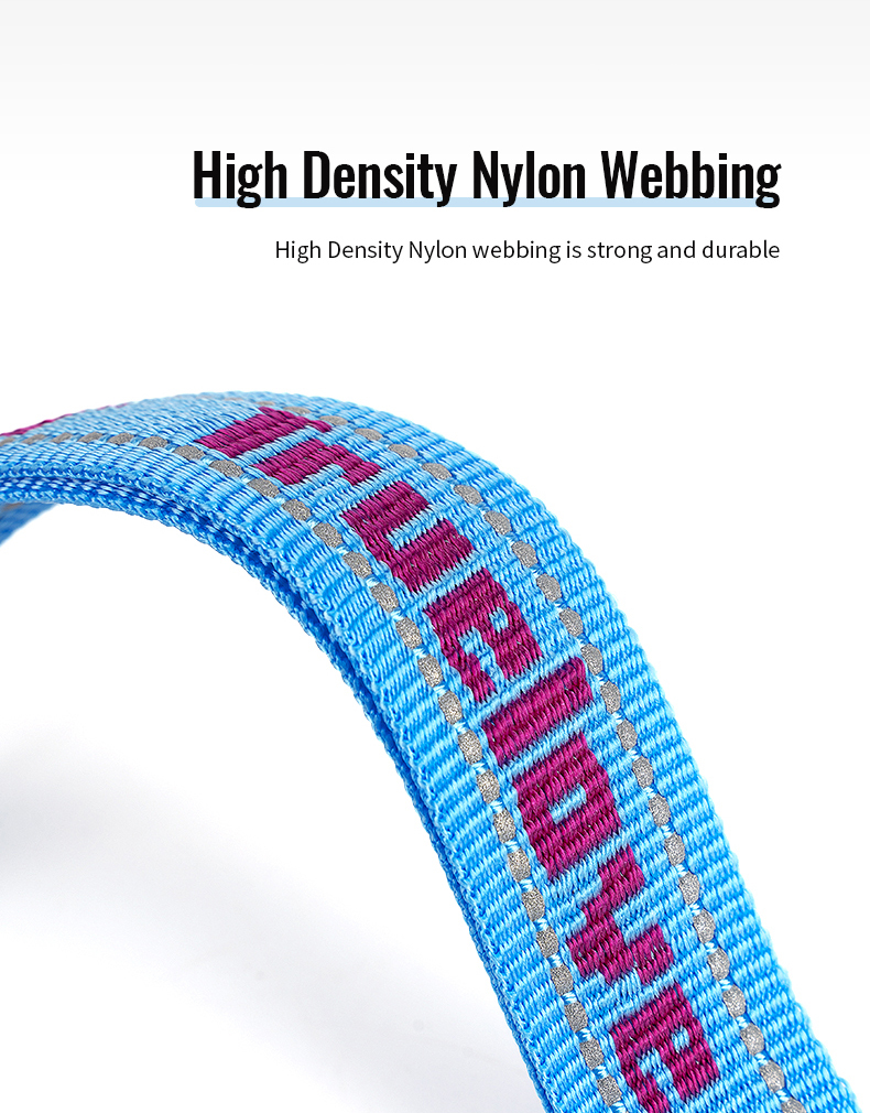 Truelove Neoprene Padded Handle Dog Leash for Comfortable Walks (TLL3071)