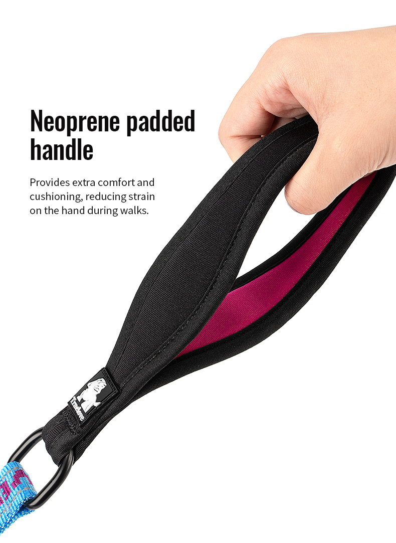 Truelove Neoprene Padded Handle Dog Leash for Comfortable Walks (TLL3071)