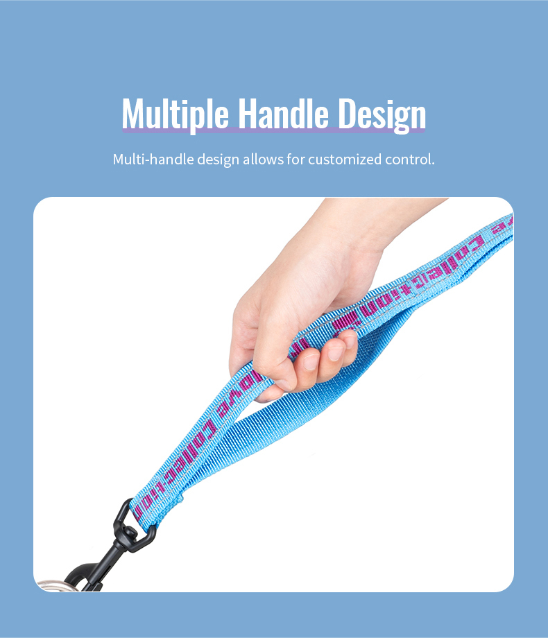 Truelove Neoprene Padded Handle Dog Leash for Comfortable Walks (TLL3071)