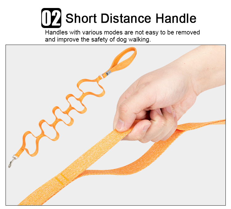 Truelove Eco-Friendly Dog Leash (TLL3073)
