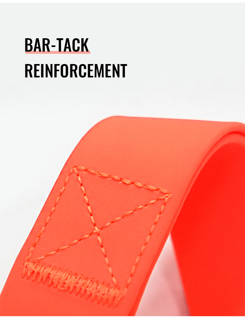 Truelove Polyester Webbing PVC Coated Dog Leash (TLL3211)