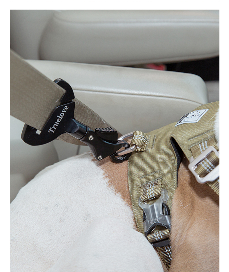 Truelove Ultra-Light Pet Car Safety Lock: Durable, Secure & User-Friendly (TLM1993)