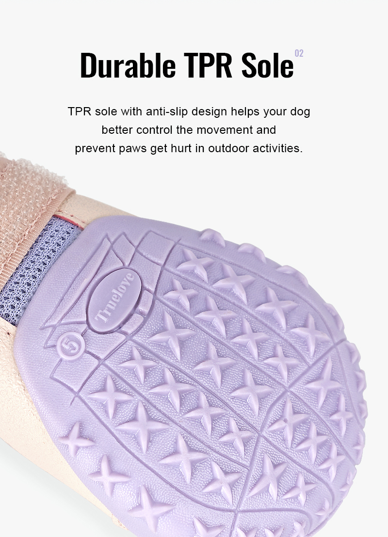 Truelove Breathable Mesh & Leather Outdoor Pet Shoes for Enhanced Paw Protection (TLS3962)
