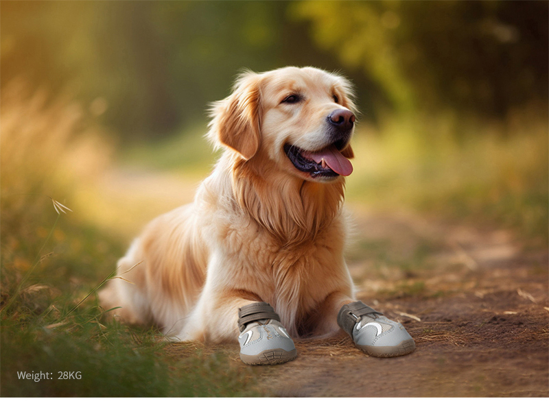 Truelove Breathable Mesh & Leather Outdoor Pet Shoes for Enhanced Paw Protection (TLS3962)