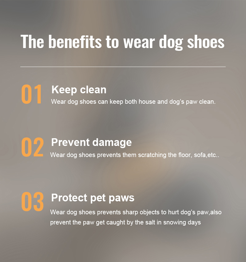 Truelove Outback Boots for Adventurous Pets Ultimate Protection and Comfort Shoes (TLS4861)