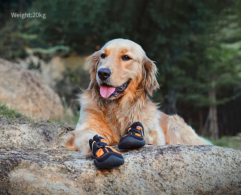 Truelove Outback Boots for Adventurous Pets Ultimate Protection and Comfort Shoes (TLS4861)