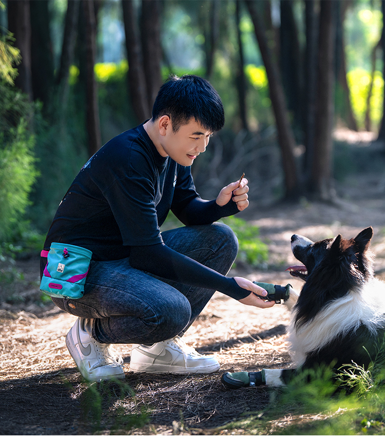 Truelove Travel Versatile Tool Designed Treat Toy Accessory Storage Holder Poop Bag Dispenser Training Waist Dog Puppy Pet Bag (TLT2052)