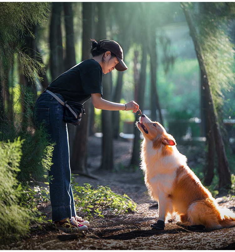 Truelove Travel Versatile Tool Designed Treat Toy Accessory Storage Holder Poop Bag Dispenser Training Waist Dog Puppy Pet Bag (TLT2052)