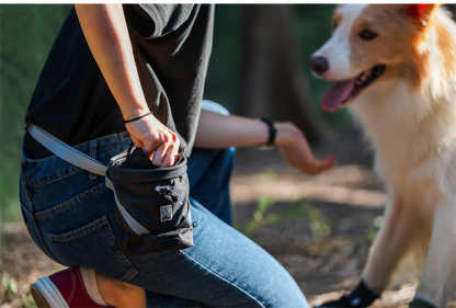 Truelove Travel Versatile Tool Designed Treat Toy Accessory Storage Holder Poop Bag Dispenser Training Waist Dog Puppy Pet Bag (TLT2052)