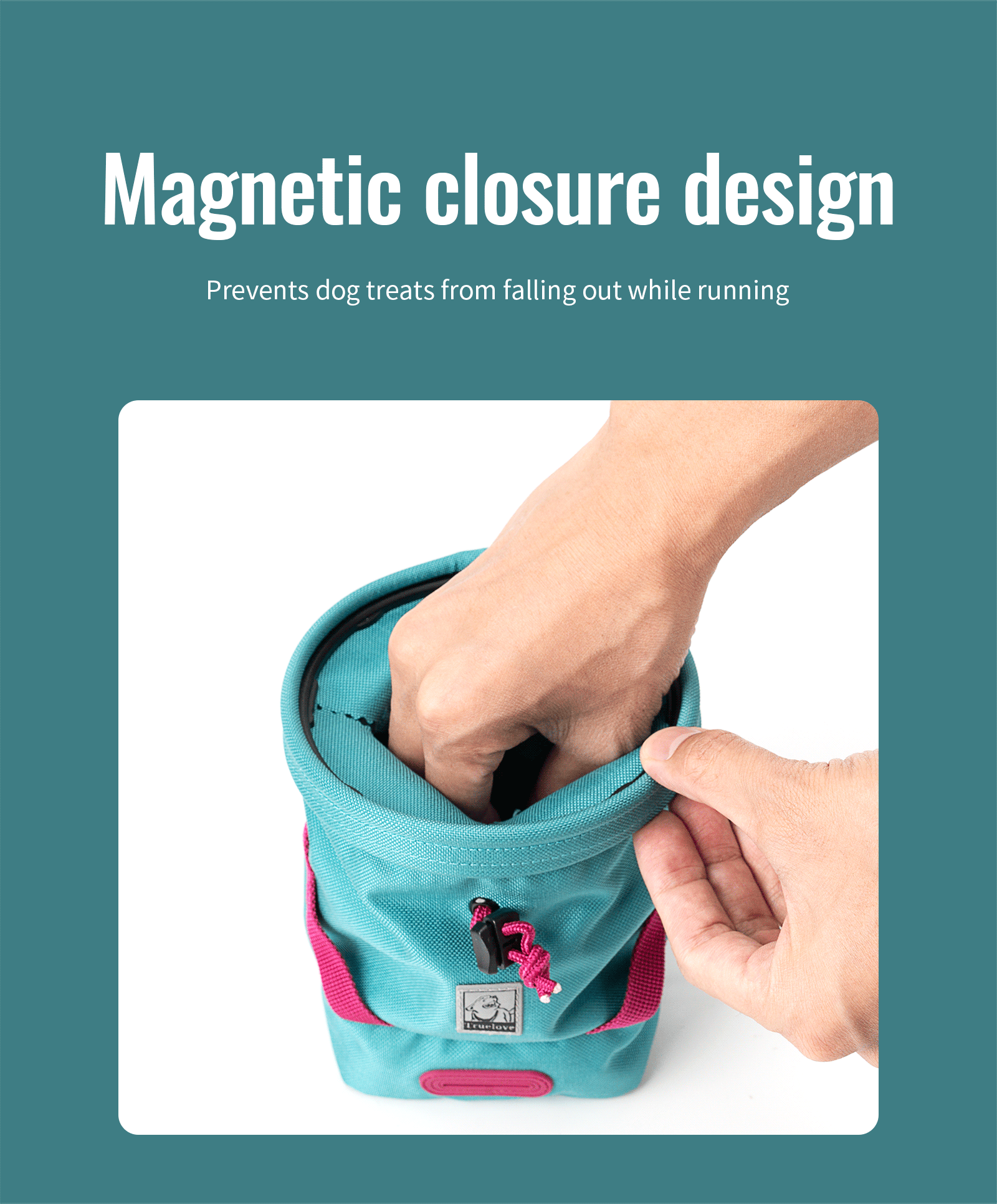 Truelove Travel Versatile Tool Designed Treat Toy Accessory Storage Holder Poop Bag Dispenser Training Waist Dog Puppy Pet Bag (TLT2052)