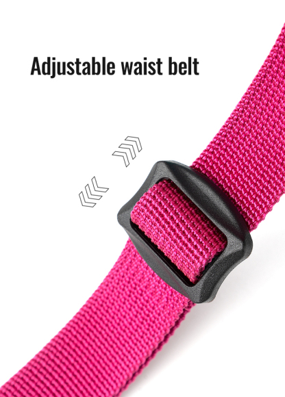 Truelove Travel Versatile Tool Designed Treat Toy Accessory Storage Holder Poop Bag Dispenser Training Waist Dog Puppy Pet Bag (TLT2052)