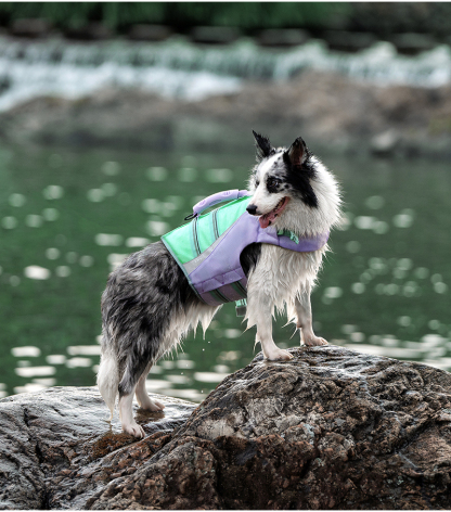 Truelove Outdoor Dog Life Jacket Stay Afloat in Style (TLY1951)