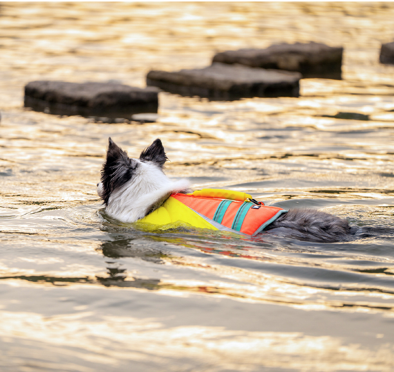 Truelove Outdoor Dog Life Jacket Stay Afloat in Style (TLY1951)