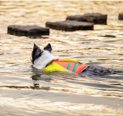 Truelove Outdoor Dog Life Jacket Stay Afloat in Style (TLY1951)