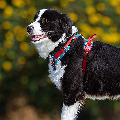 Truelove Nylon Reflective Camouflage Pet Harness