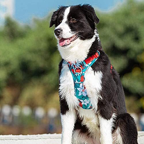 Truelove Nylon Reflective Camouflage Pet Harness