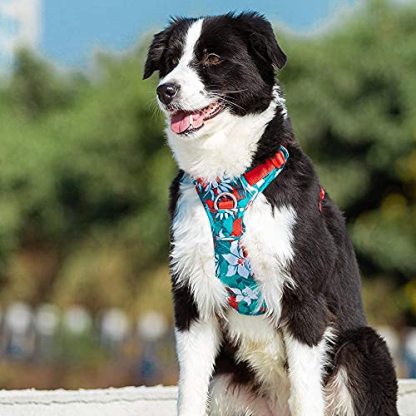 Truelove Nylon Reflective Camouflage Pet Harness