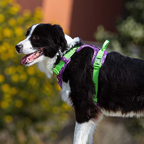 Truelove Nylon Reflective Camouflage Pet Harness